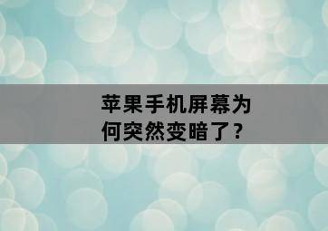 苹果手机屏幕为何突然变暗了? 苹果手机屏幕为何突然变暗了?-图片2